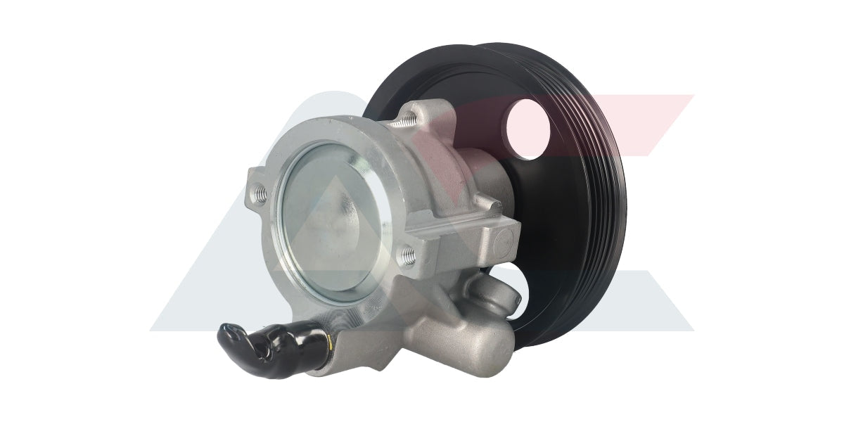 Power Steering Pump Renault Megane I 99-08