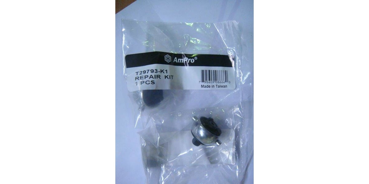 Repair Kit For T29793 AMPRO T29793-K1 tools at Modern Auto Parts!