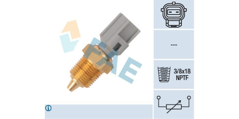 Temperature Switch 2Pin 3/8X18Nptf Ford (Endura Duratec Zetec) (Fae) (33425) Sensor