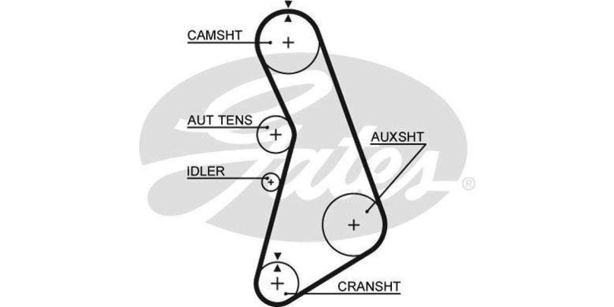 Timing Belt Audi A4,Vw Passat (Adr,Aeb) - Modern Auto Parts 