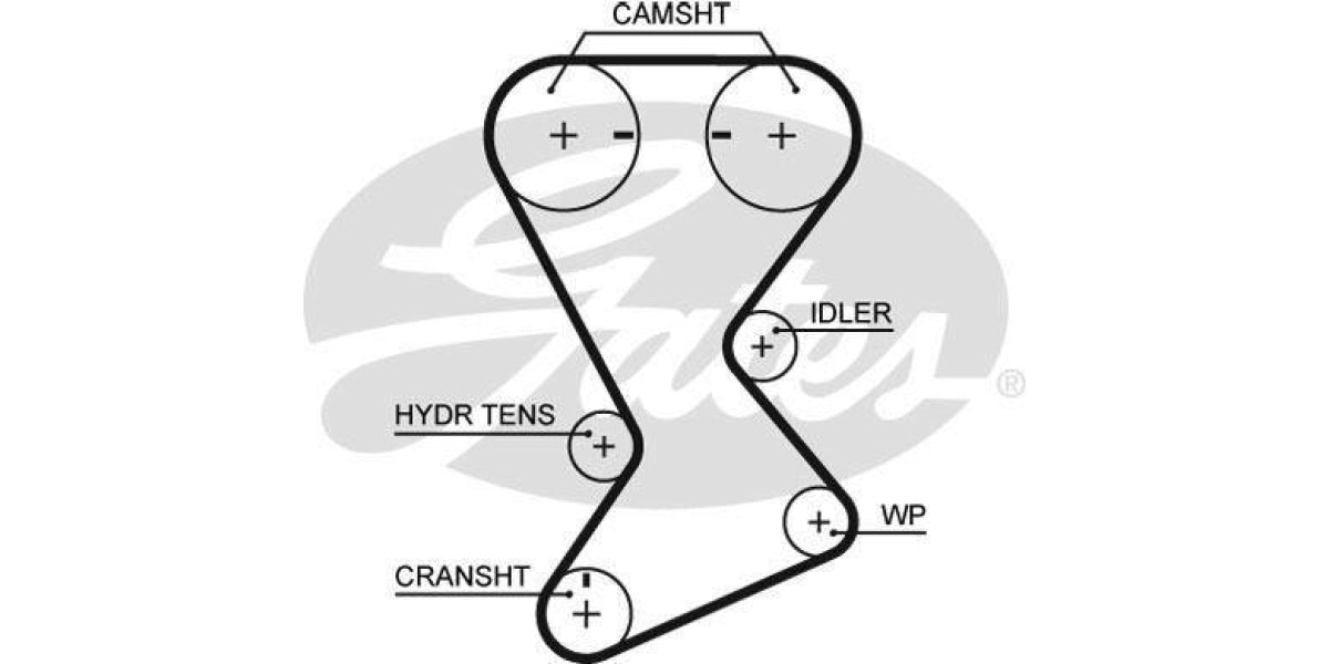 Timing Belt Chrysler Neon,Pt Cruiser (Eccy,Sohc,Ecb,Ech) - Modern Auto Parts 