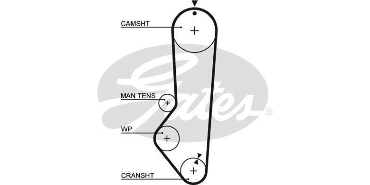 Timing Belt Ford Escort 1.3Gl,Fiesta (Cvh,Endura) - Modern Auto Parts 