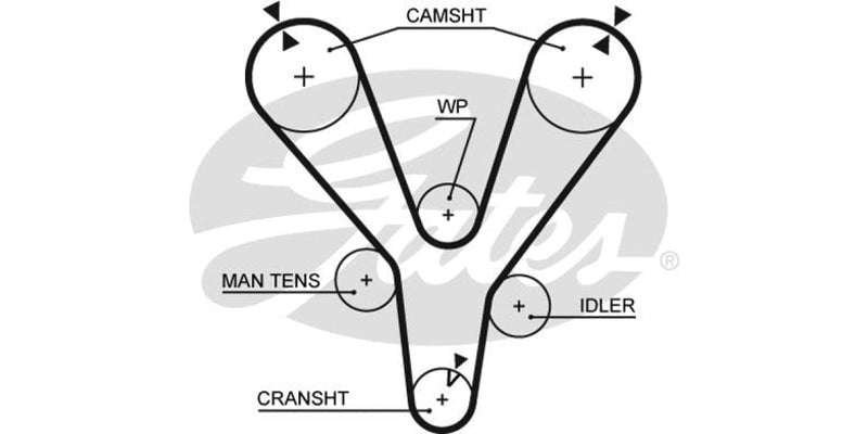 Timing Belt Hyundai (Hyu207Fsd) Belts