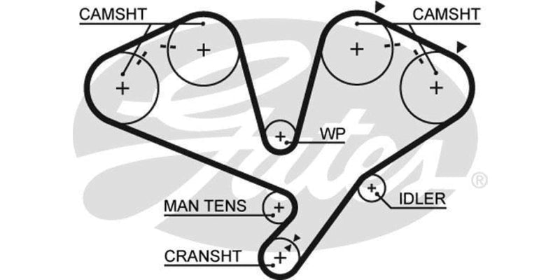 Timing Belt Mitsubishi Pajero Gls 3 6G74  Dohc - Modern Auto Parts 