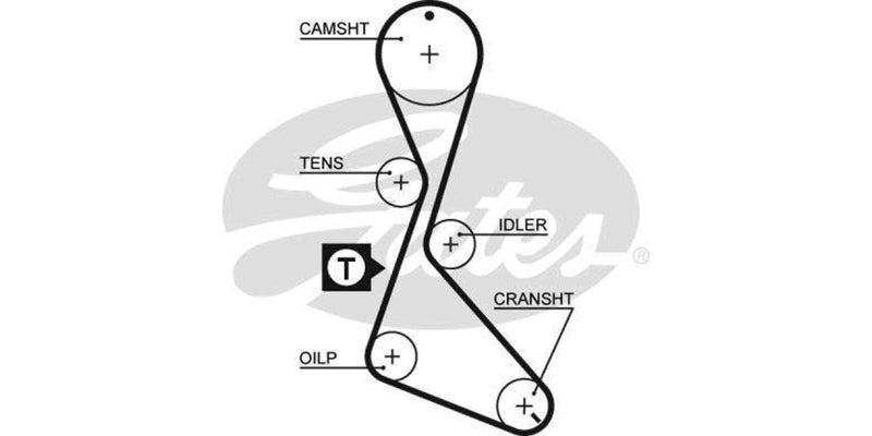 Timing Belt Renault R11 Tx,Txe F2N - Modern Auto Parts 