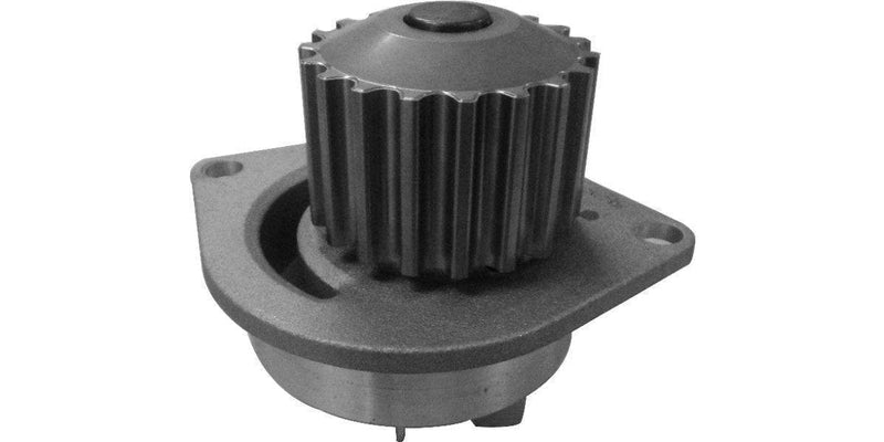 Water Pump (Wp66026X) - Modern Auto Parts